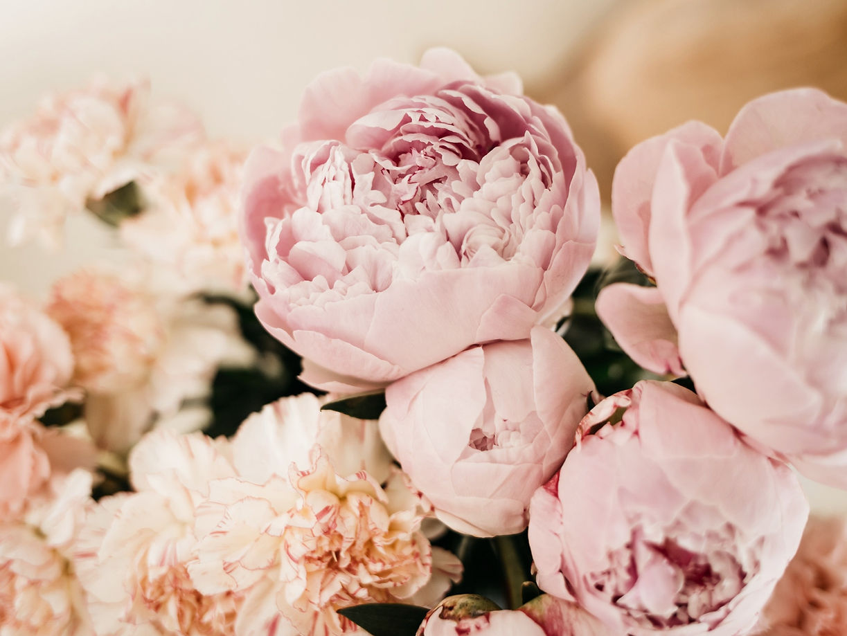 Divine flow - rose image background - page contact
