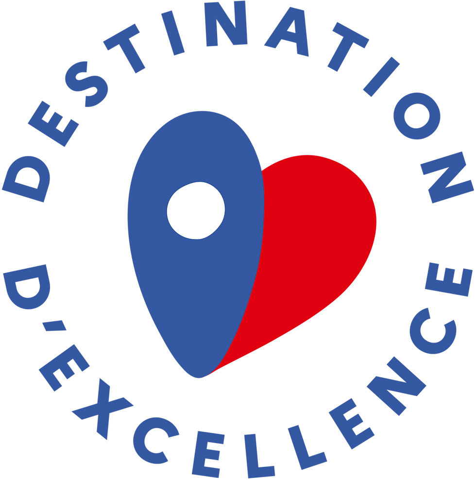 destination-excellence_edited.png