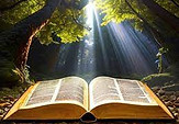 reading the bible.jpeg