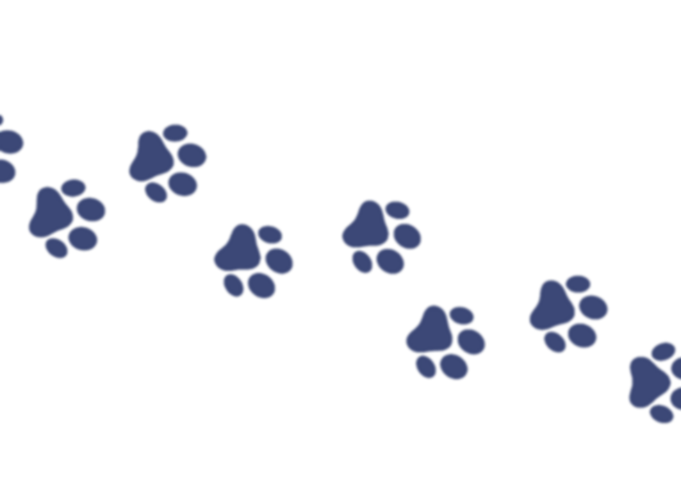 AdobeStock_569617854_edited.png