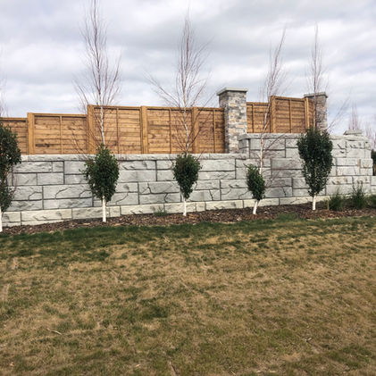 Stone wall with wooden fence and decorative trees in landscape setting