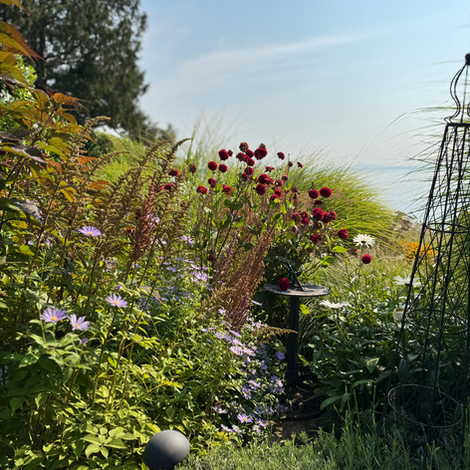 Ocean View Marine Dr.