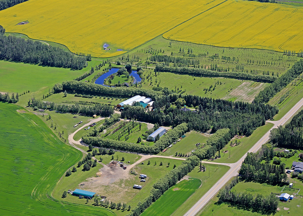 Aerial view of a farm with green fields and yellow crops