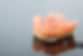 denture rebase