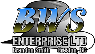 logo bws