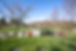 Cemetery scene with green grass, bare trees, and Pillow & Flat Headstones in view.