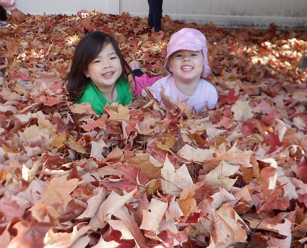 Two happy toddlers peeking out from a pile of fall leaves.