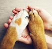 AdobeStock_167618810.jpeg