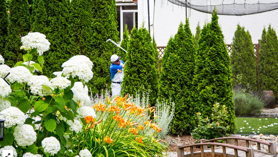 Golfer in a lush garden with white hydrangeas and green trees.