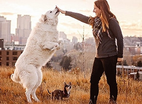 cindy-calgary-dog-trainer-e1571777100969-300x288.jpg