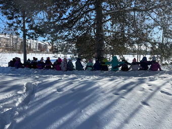 Group of children seated in snow under pine trees on sunny day.