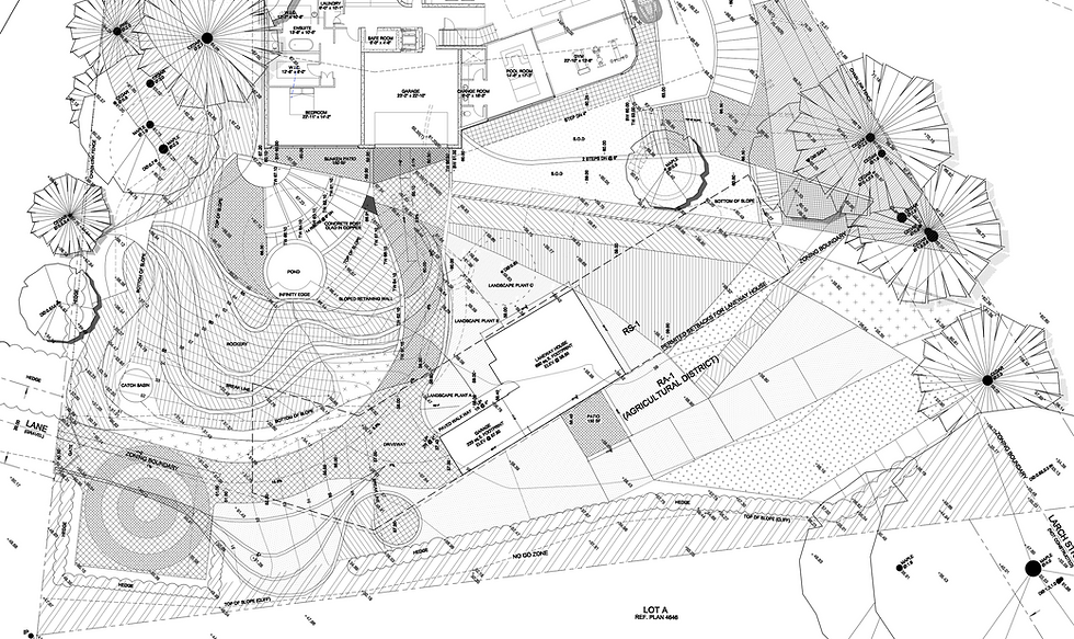 Detailed landscape plan