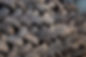 scrap tire pile-goes to shredder for re use