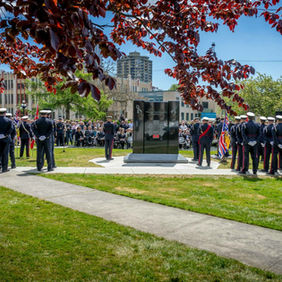 Military personnel stand in formation around a dark war memorial in a park.