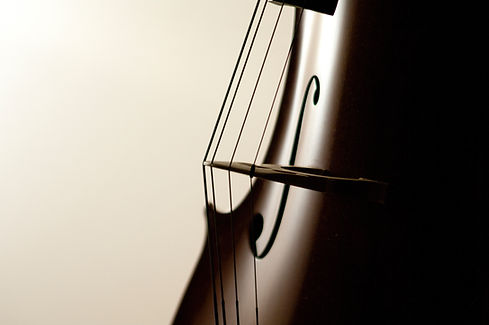 Close-up of a double bass with strings and f-hole, strong contrast.