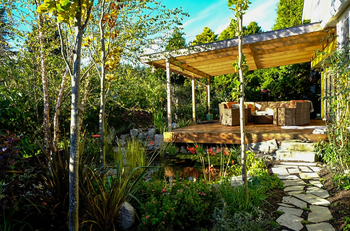 Sustainable landscape with a patio, pergola, pond, and lush plants