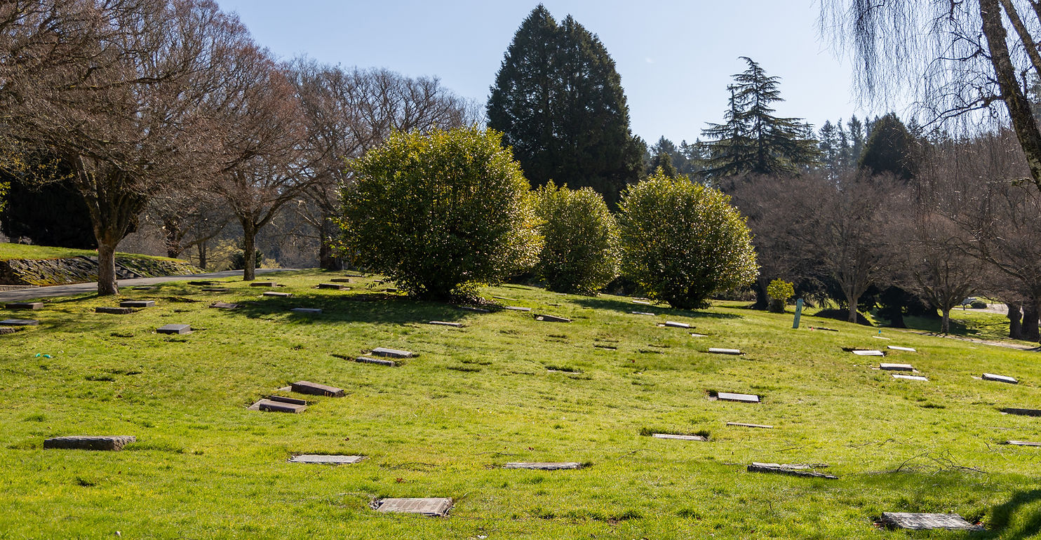 Green cemetery lawn with sunshine, headstones, trees, and blue sky background