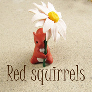 Red squirrels collection button with red squirrel and oxeye daisy ornament
