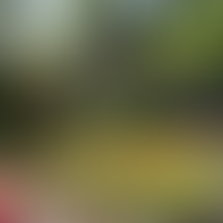 ラ・カスタ ガーデン&北アルプス本店 4/29(水・祝) 、5/6(水・祝) 営業のお知らせ