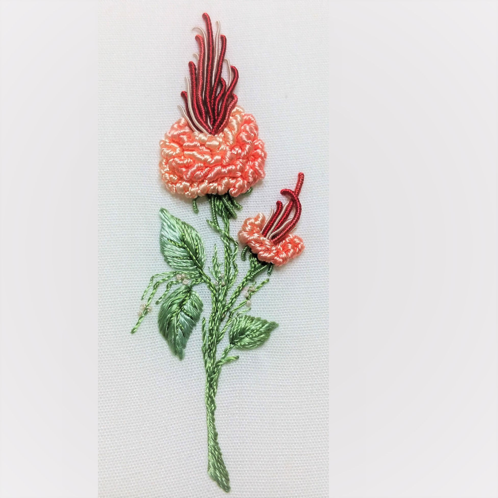 1402 California Rosebud Kit