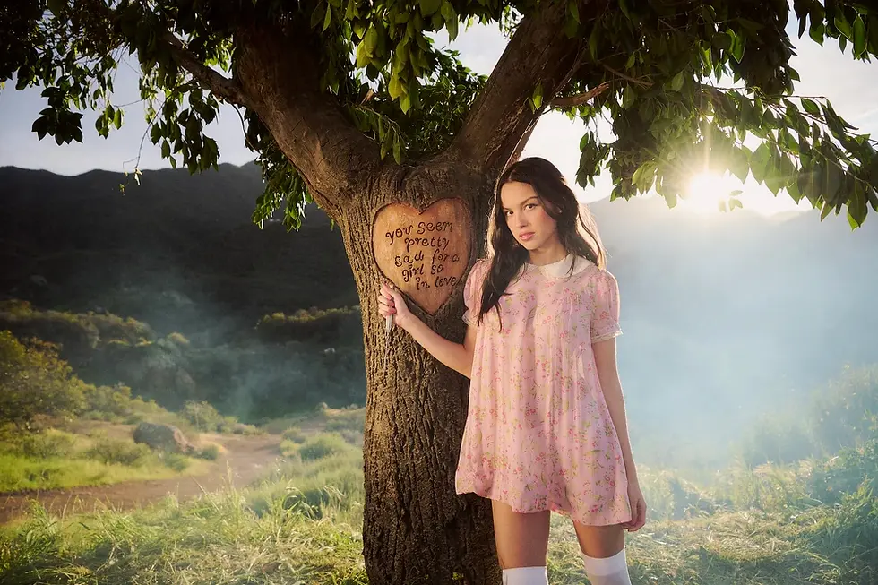 Olivia Rodrigo in pink dress stands by a tree with a heart carving, holding a marker, against sunny mountains at dusk.