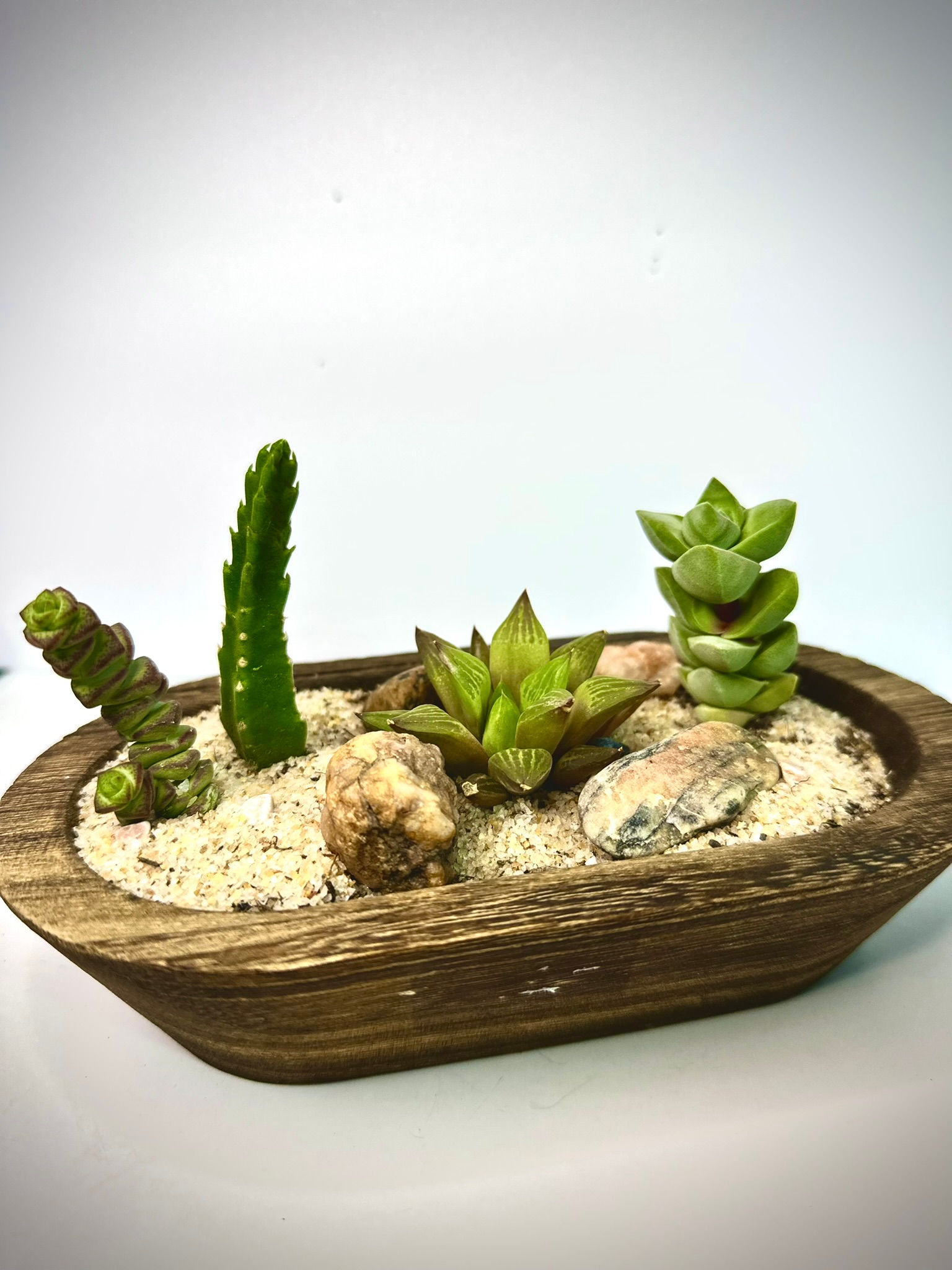 Wooden Desert Scape