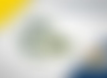 FENERBAHÇE-SHAKHTAR DONETSK MAÇI BİLETLERİNİN SATIŞI HAKKINDA
