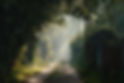 AdobeStock_1801510053.jpeg