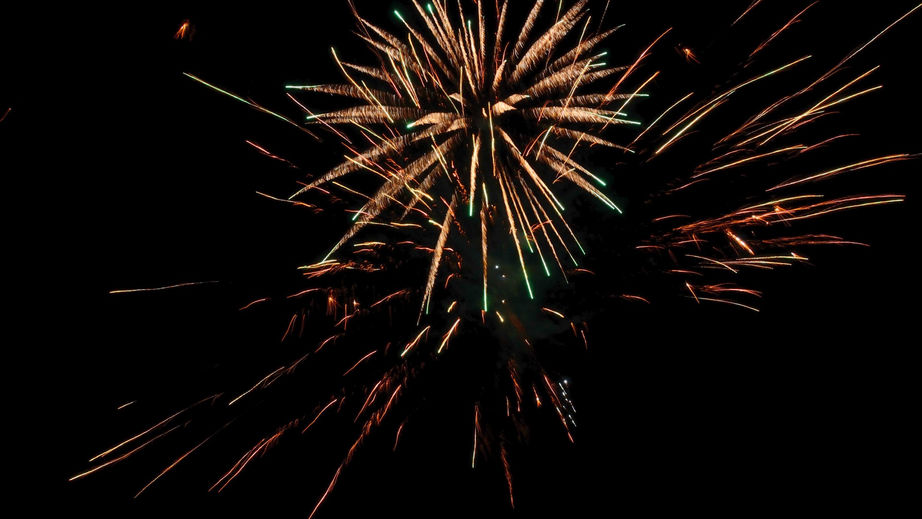 What dogs think about fireworks