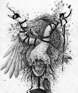 Huesos y Plumas