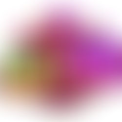 newg88 เว็บโกง