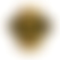 เซียนหวย เว็บโกง