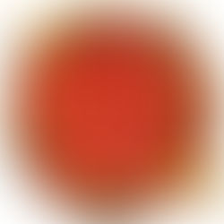 กงล้อ888 เว็บโกง