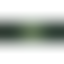 x-max888 เว็บโกง