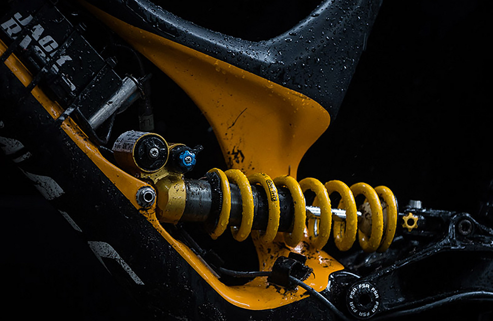 5 QUESTIONS FOR: Specialized Bicycle Components