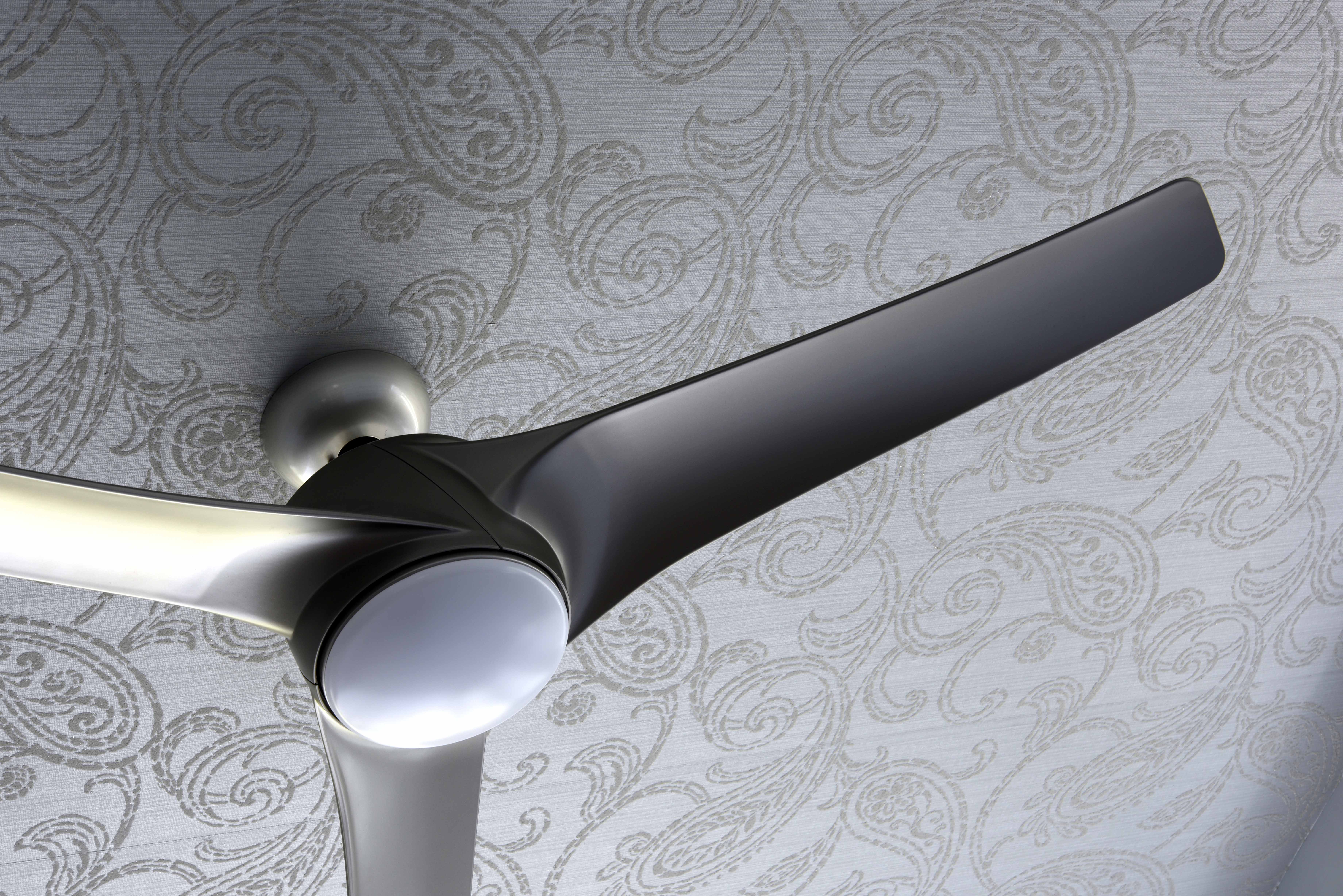 wallpaper_fan_detail_1