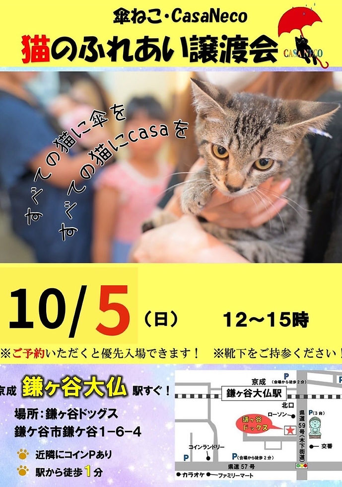 C890F8A9-20EF-4F5A-9CB7-17EF37093CDC.jpeg