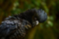 pexels-miguel-cuenca-67882473-20808380_edited.jpg