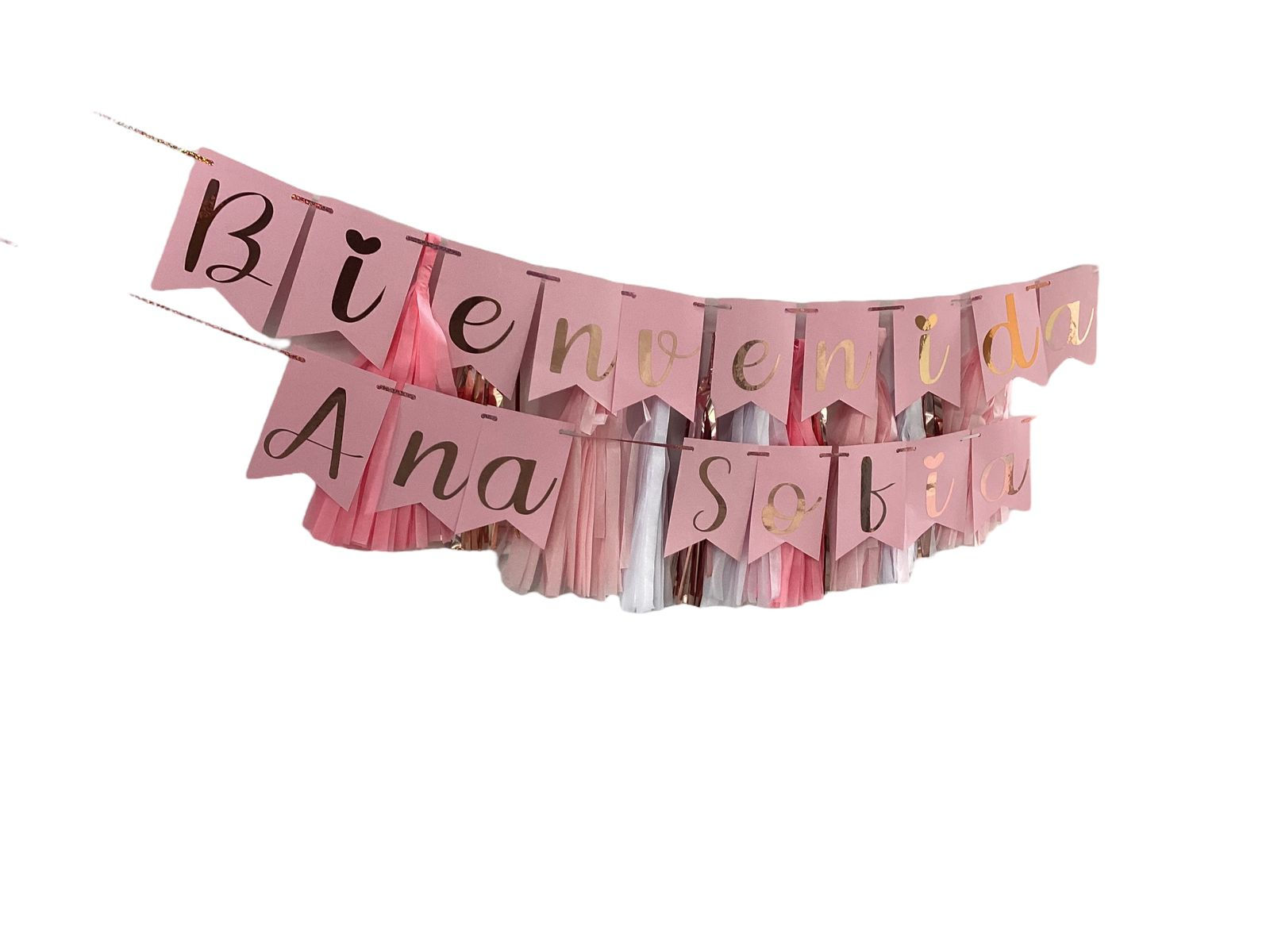 Banner Pink Bienvenida