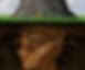 ree