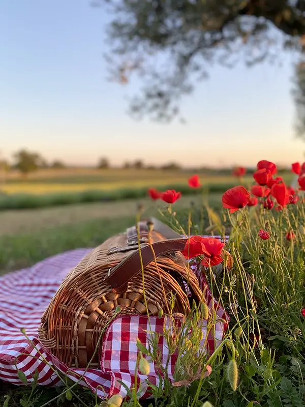 Cesto da picnic e tovaglia a quadri