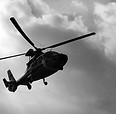 IMG_4827.jpg