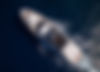 MOONSHOT (4).jpeg