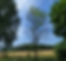 20250615_165950_edited.jpg