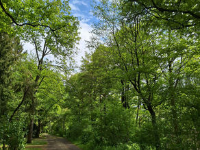 Heute bin ich jemand anderes