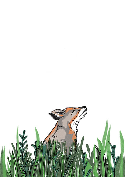 Little Grey Fox wondered why things were so hard.
