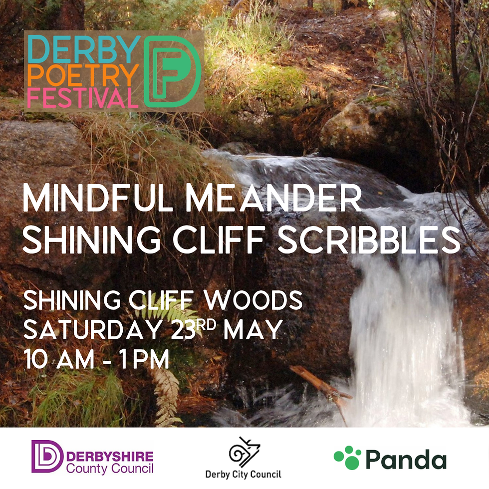 Mindful Meander: Shining Cliff Scribbles