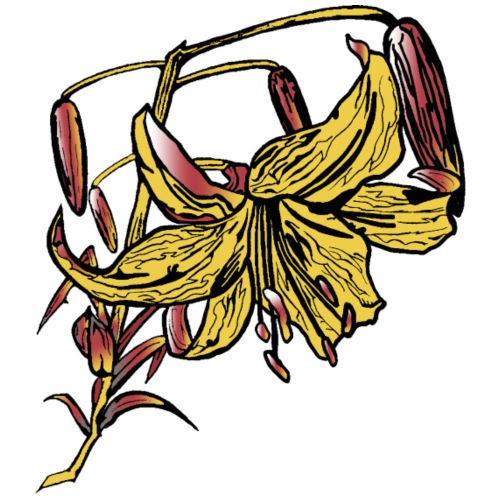 cl-1-4-womens-hoodie