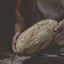 Writer: Reverence Sourdough