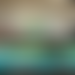 party room for kids 0-6 at little explorers